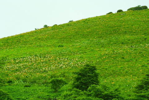 DSC_8524