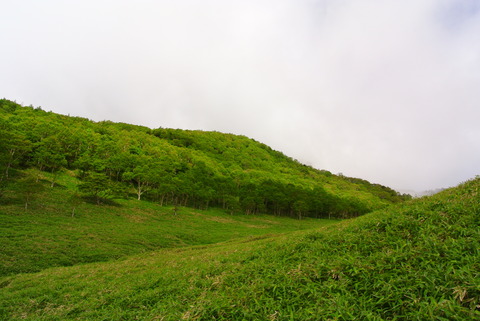 DSC_8563
