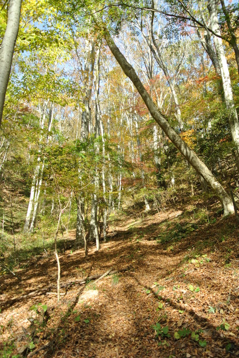 DSC_0744