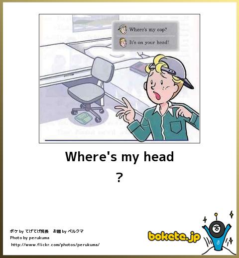 4498559