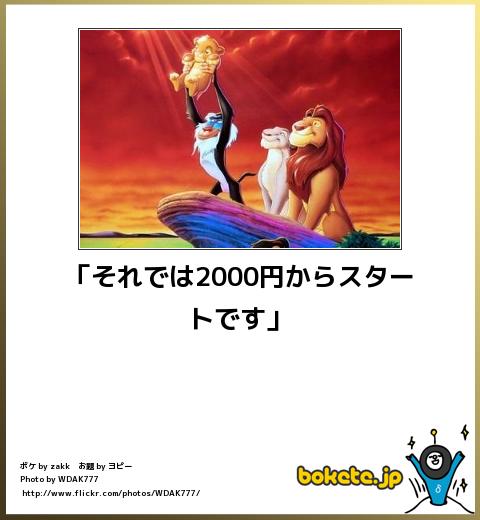 4499446