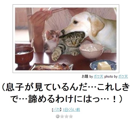 Baidu IME_2012-12-10_14-55-1