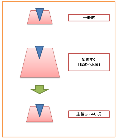陰のう水腫(3ヶ月後)