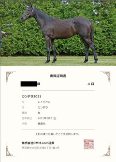 カンデラ