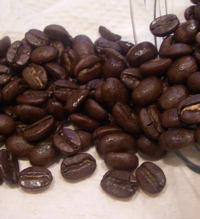 ロブスタの復権 Coffee Journal