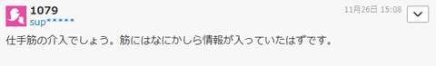 仕手筋の介入でしょう