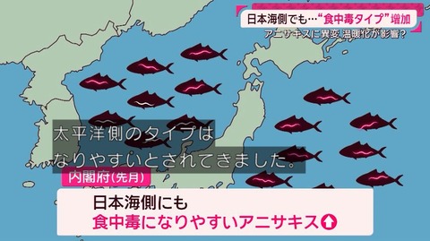 大幸薬品、正露丸の成分にアニサキス抑制効果と大々的に発表するもプレスリリースをひっそり全削除して驚きのトーンダウン