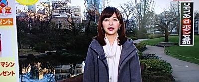 答え の 本日 お天気 検定 の