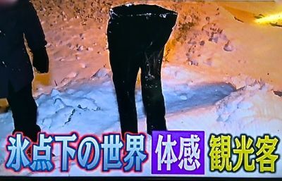 お気に入りのフォト ユーモア 803 バナナが凍った マスタカのおもろい人生