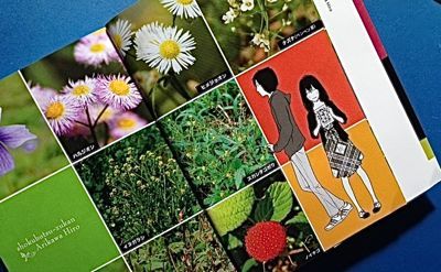 有川浩 植物図鑑 幻冬舎 マスタカのおもろい人生