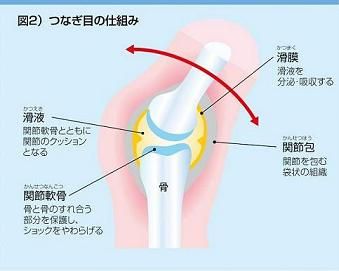 関節が ポキッ と鳴る理由がついに解明 どこでもリラクゼーション マッサージ 関節が ポキッ と鳴る理由がついに解明 どこでもリラクゼーション マッサージ