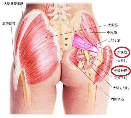女性必見 夏の冷え対策 どこでもリラクゼーション マッサージ 女性必見 夏の冷え対策 どこでもリラクゼーション マッサージ