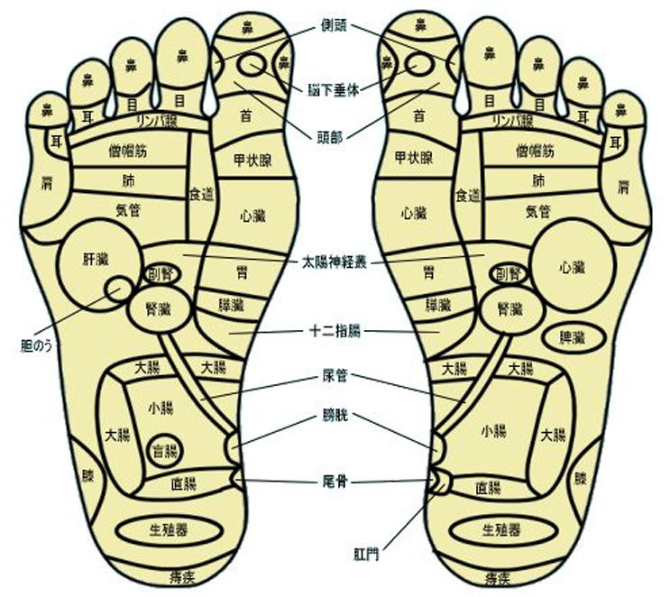 つぼ 表 足