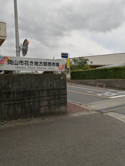 まっさの独り身グルメ 中華そば「駒」01