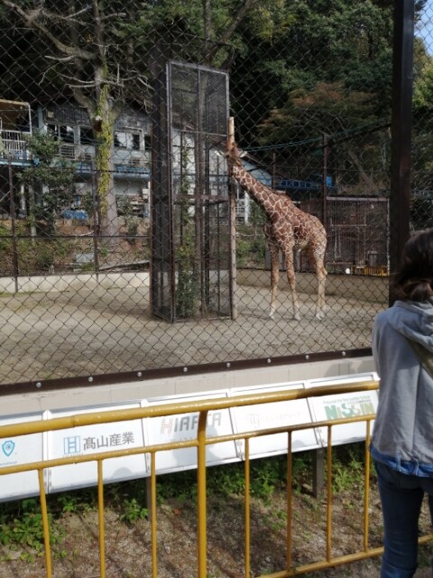 池田動物園01