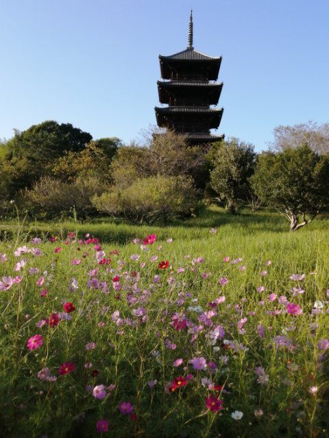 総社デートで彼女が語ったおいらの魅力01