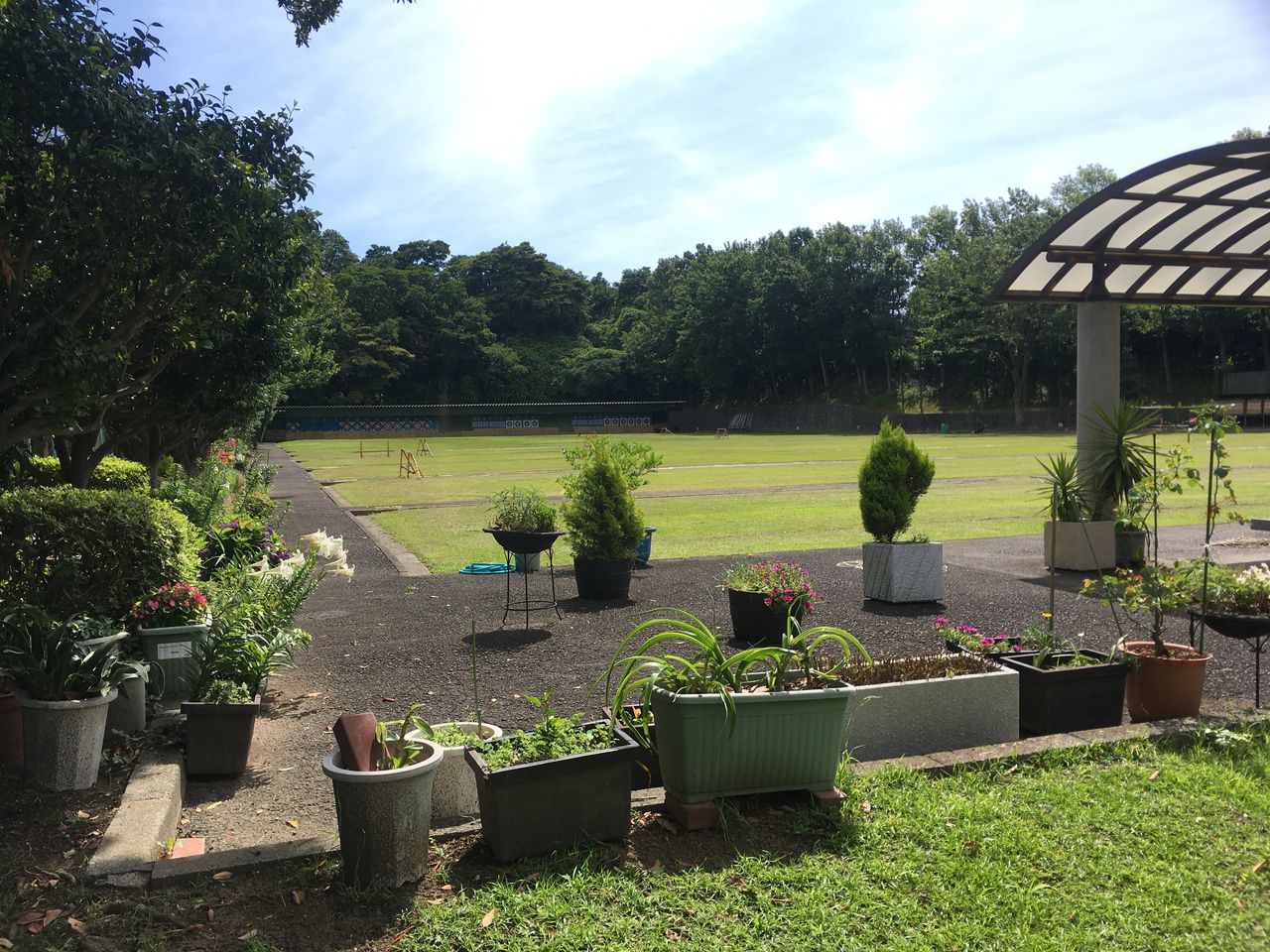 神奈川県 富岡総合公園 アーチェリー場 スズキの 神奈川県 富岡総合公園 アーチェリー場 スズキの