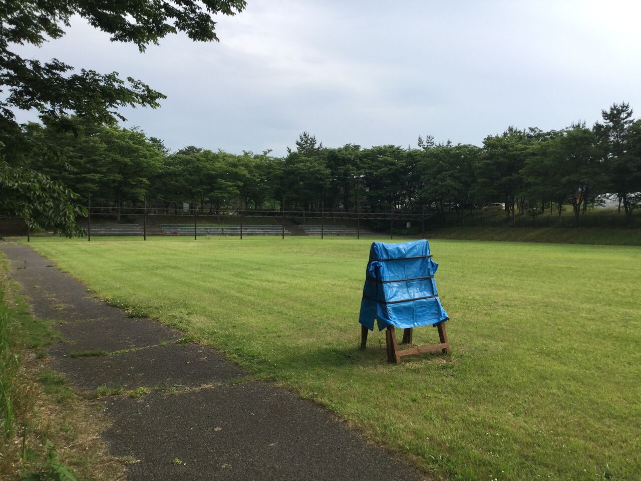 山形県 庄内空港緩衝緑地公園 アーチェリー場 スズキの