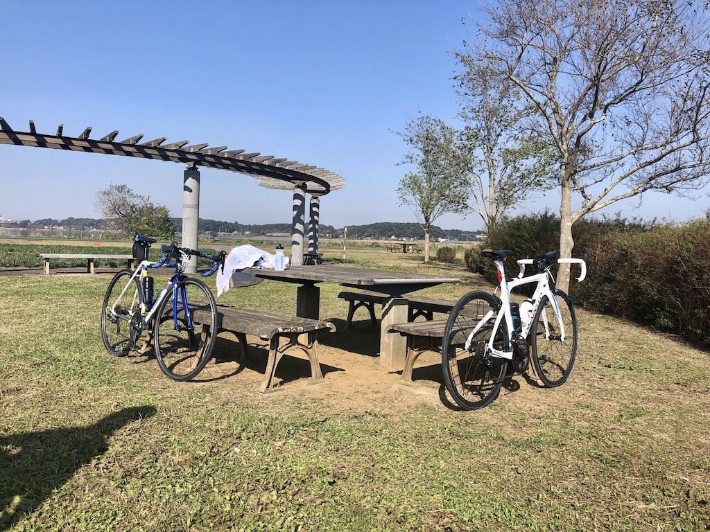 gmap 自転車のルートがでない