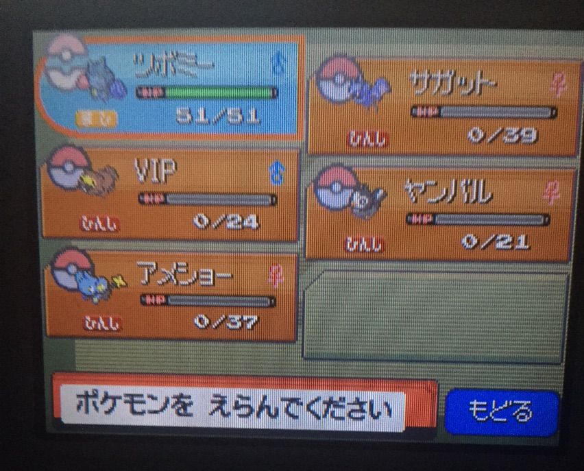 ポケモン パール 縛りプレイ クロガネシティ ハクタイシティ 後編 はらはらいちが何かするかも