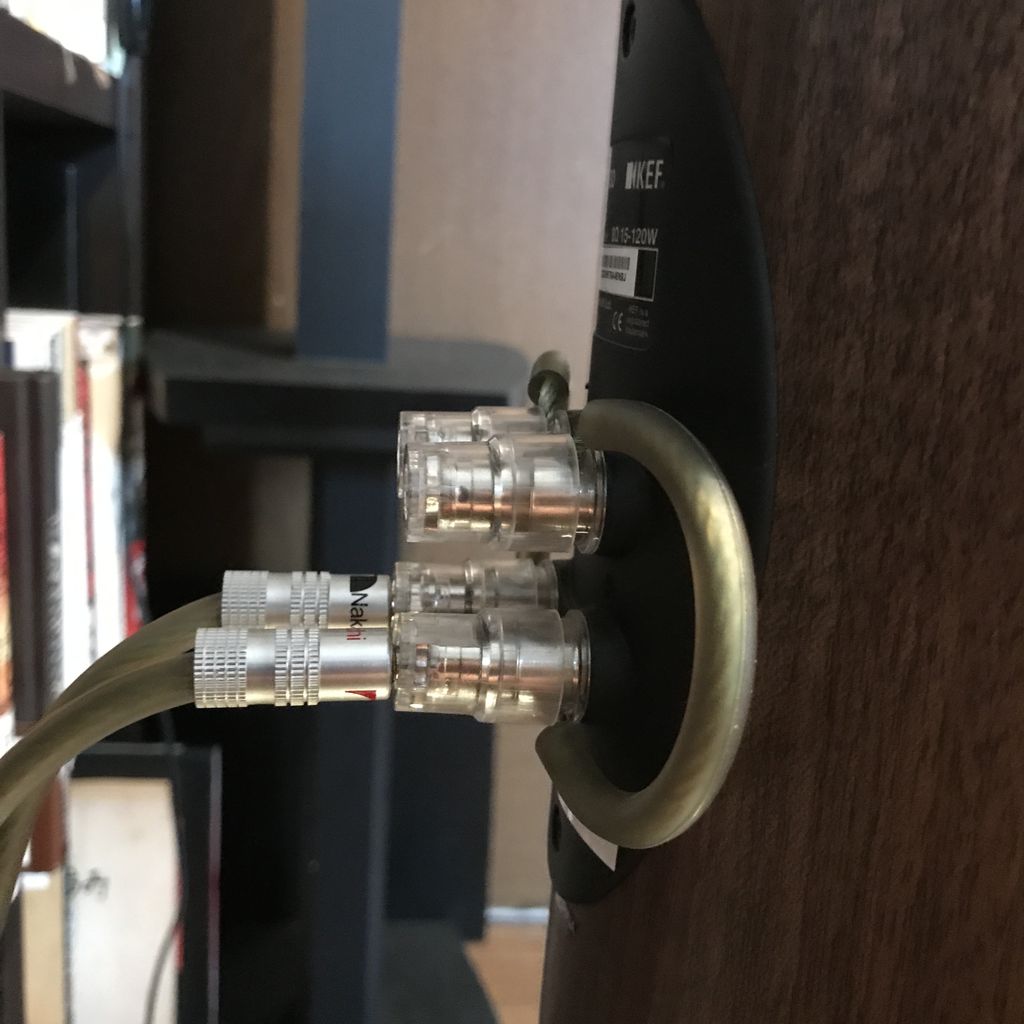 暴挙の果てに。 : 音の薫り 暴挙の果てに。 : 音の薫り
