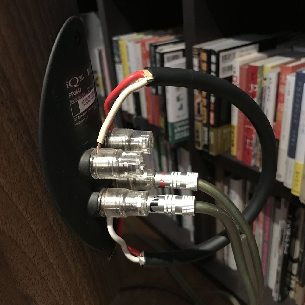 暴挙の果てに。 : 音の薫り 暴挙の果てに。 : 音の薫り