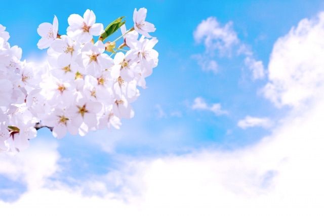 遅れて参加します は英語で You Made My Day 私の腰痛日記