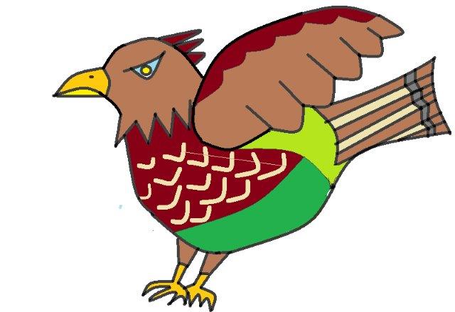 19 03 19 飛ばないチョウゲンボウ ウル虎オジサンの鳥撮りブログ