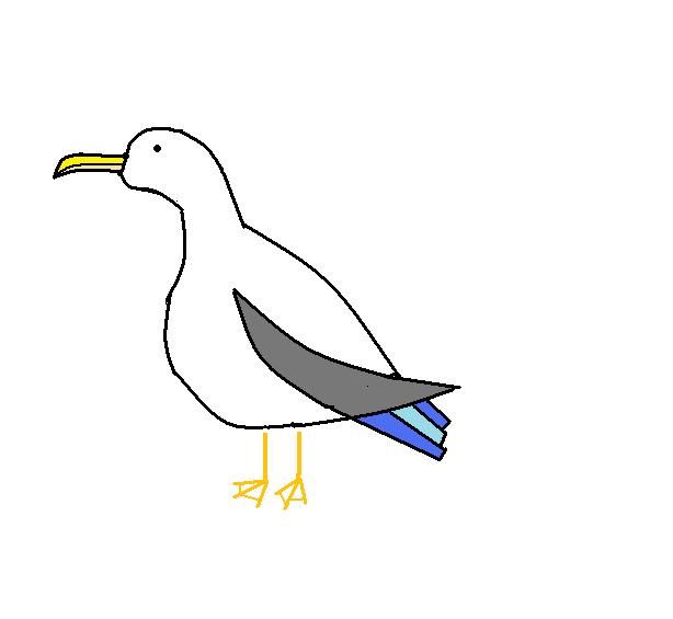 2 18 19 カモメ カラス アオサギ 強いのは ウル虎オジサンの鳥撮りブログ 2 18 19 カモメ カラス アオサギ 強いのは ウル虎オジサンの鳥撮りブログ