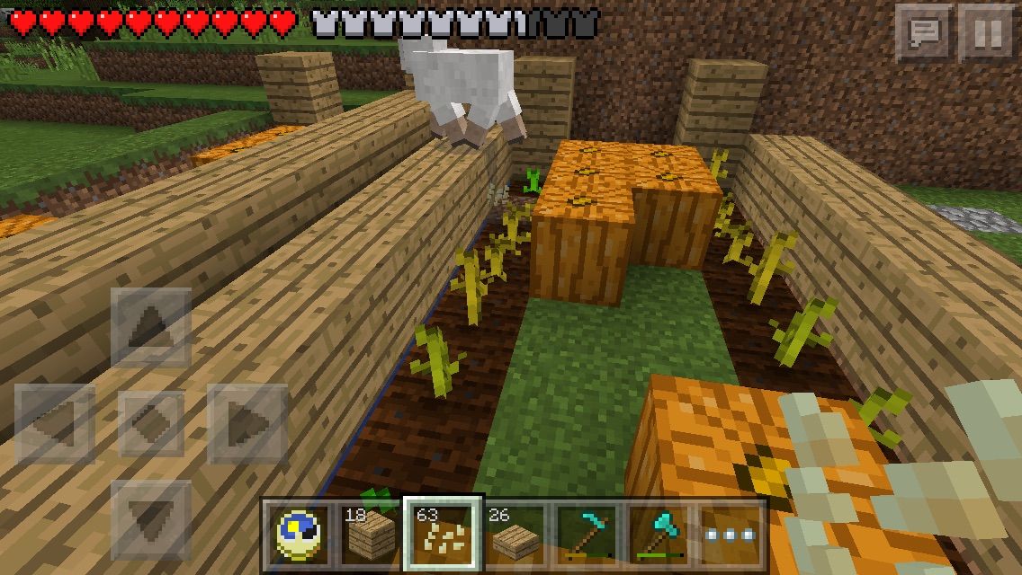 Mcpe カボチャ畑を作る コツコツまいくら開拓記 Mcpe カボチャ畑を作る コツコツまいくら開拓記