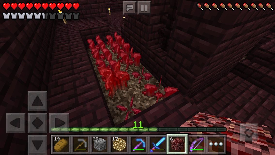 Mcpe 悲劇 ネザー要塞探索 コツコツまいくら開拓記 Mcpe 悲劇 ネザー要塞探索 コツコツまいくら開拓記