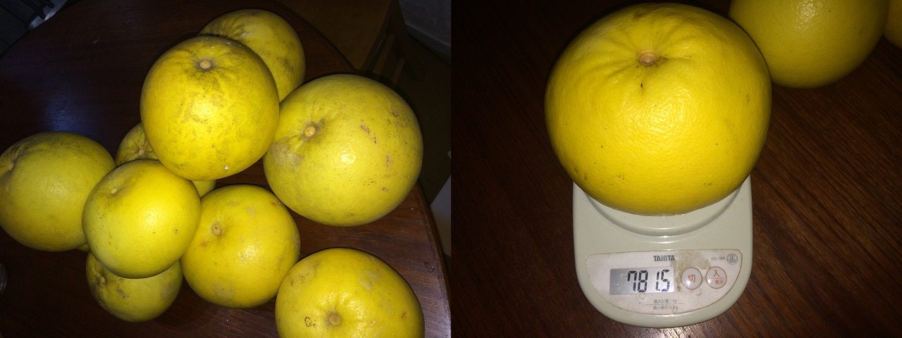 0123c