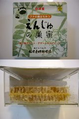 はちのす
