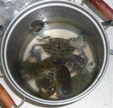 ガザミ