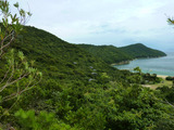 島