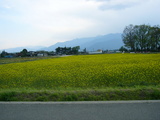 mt03