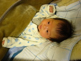 seigo