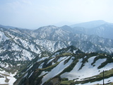 mt19
