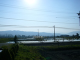 mt04
