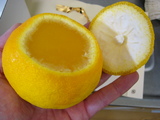 sanpoukan03