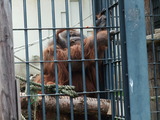 DSCF5858