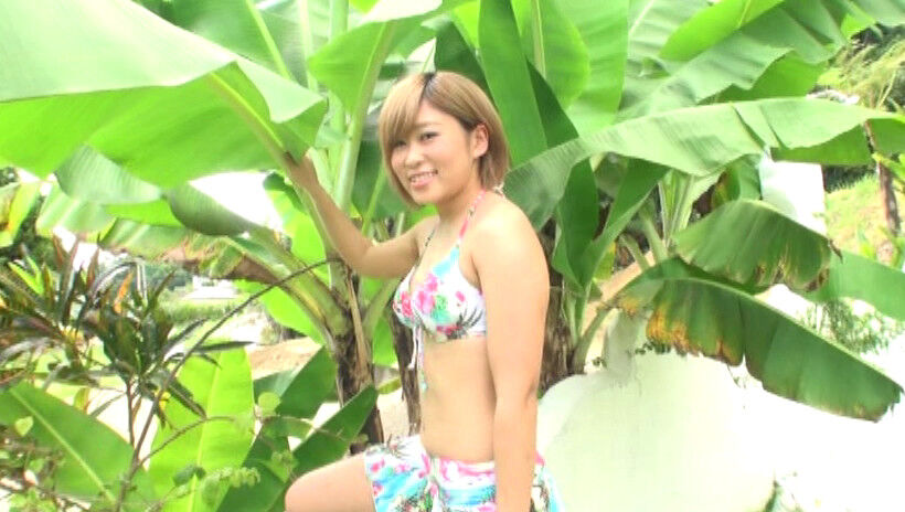 KONAMI 小波