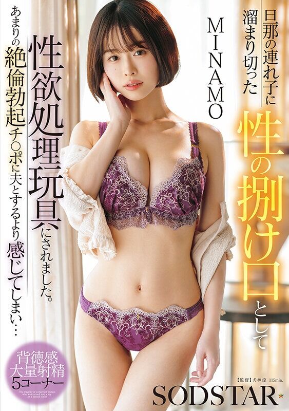 MINAMO 寝取り・寝取られ・NTR 旦那の連れ子に溜まり切った性の捌け口として性欲処理玩具にされました。あまりの絶倫
