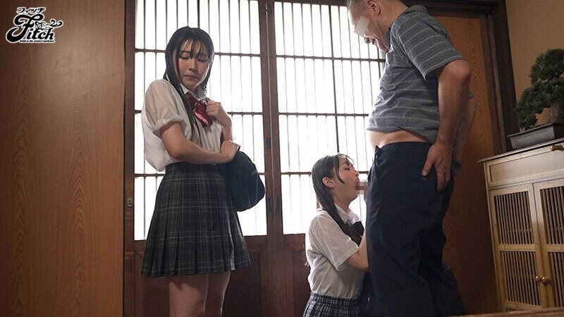望月つぼみ 3P・4P オヤジのハメ撮りドキュメント ねっとり濃厚に貪り尽くす体液ドロドロ汗だく性交 皆月ひかる
