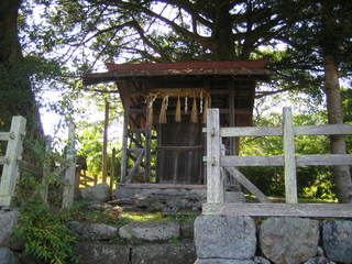 ��Ƭ��ҵܻ����ҡ����