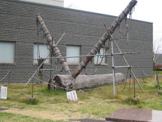 ��ˬ����ʪ�ۤ��ܽ����