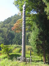 ���ܻ�Ƿ����