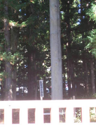 ��ˬ��Ҳ��ҡ����ܻ�Ƿ����