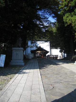 ��ƻ��Ԥ���������