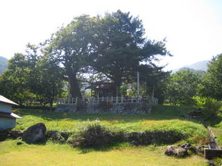 ��Ƭ��ҵܻ�����